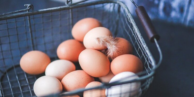 Eggs